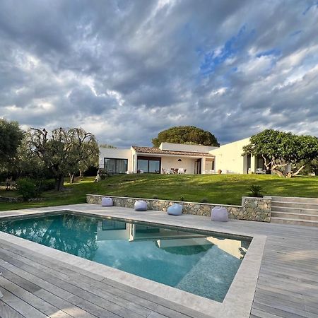Magnifique Villa Moderne Avec Piscine La Gaude Exteriör bild
