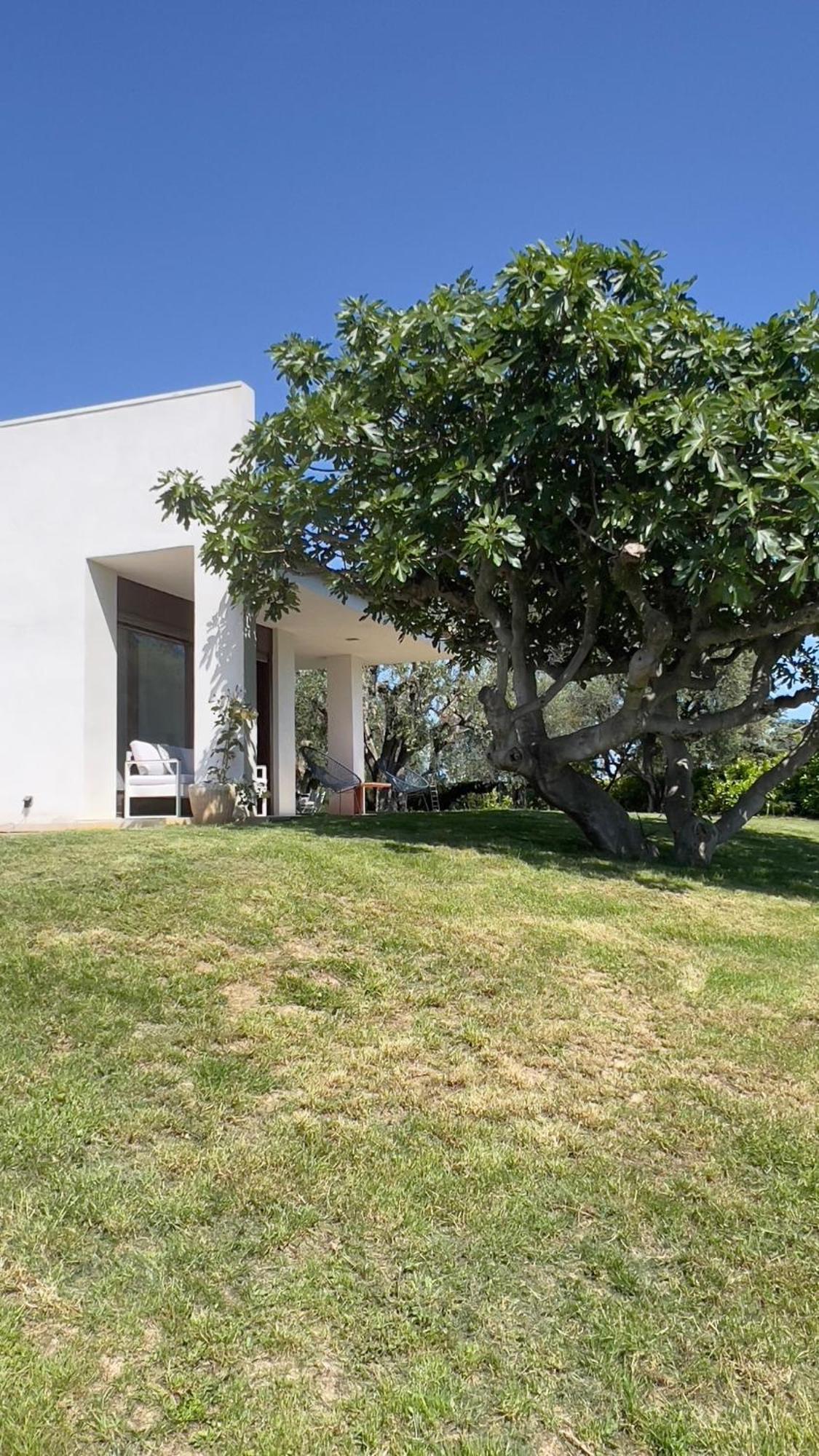 Magnifique Villa Moderne Avec Piscine La Gaude Exteriör bild